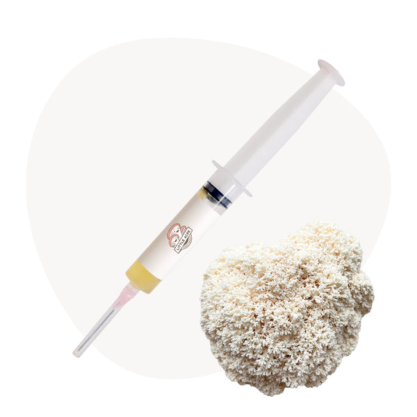 Coral Tooth Mushroom Liquid Culture Syringe - Snowflake (Hericium coralloides)