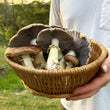 Load image into Gallery viewer, DIY Mushroom Garden Kit
