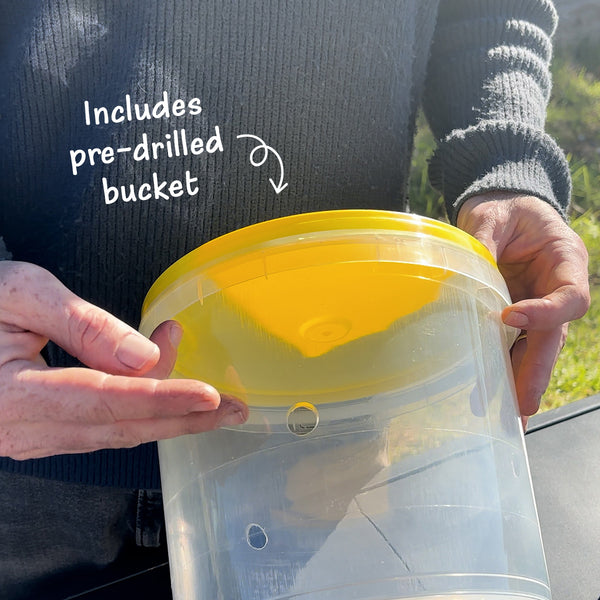 DIY Oyster Mushroom Bucket Kit