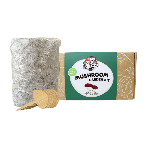 DIY Mushroom Garden Kit
