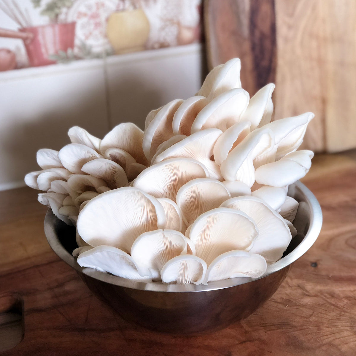 How To Grow Mushrooms at Home Workshop for Beginners Little Acre