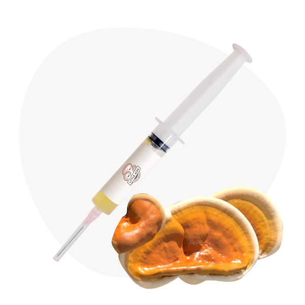 Reishi Mushroom Liquid Culture Syringe