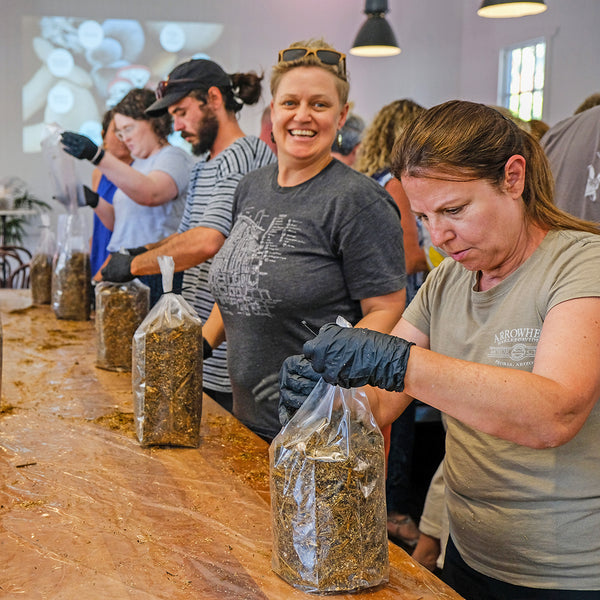 Mushroom Masterclass