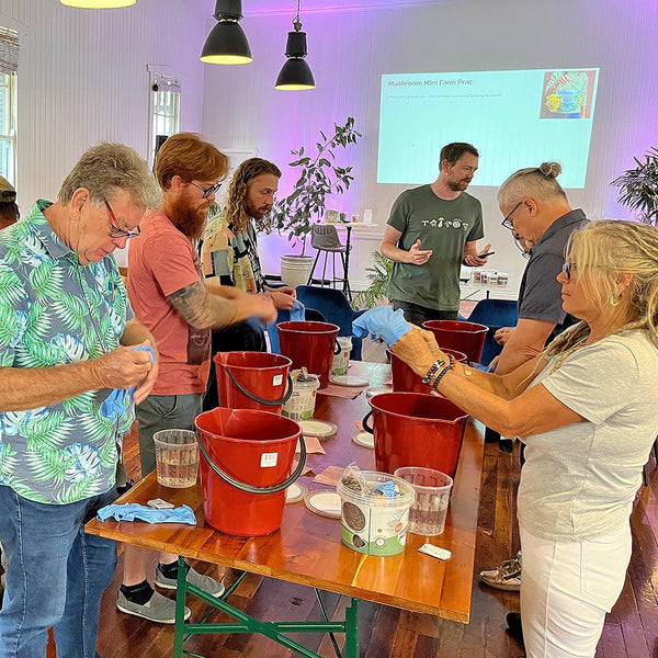 Fungi Fundamentals (in-person masterclass)