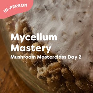 Mycelium Mastery (in-person masterclass)