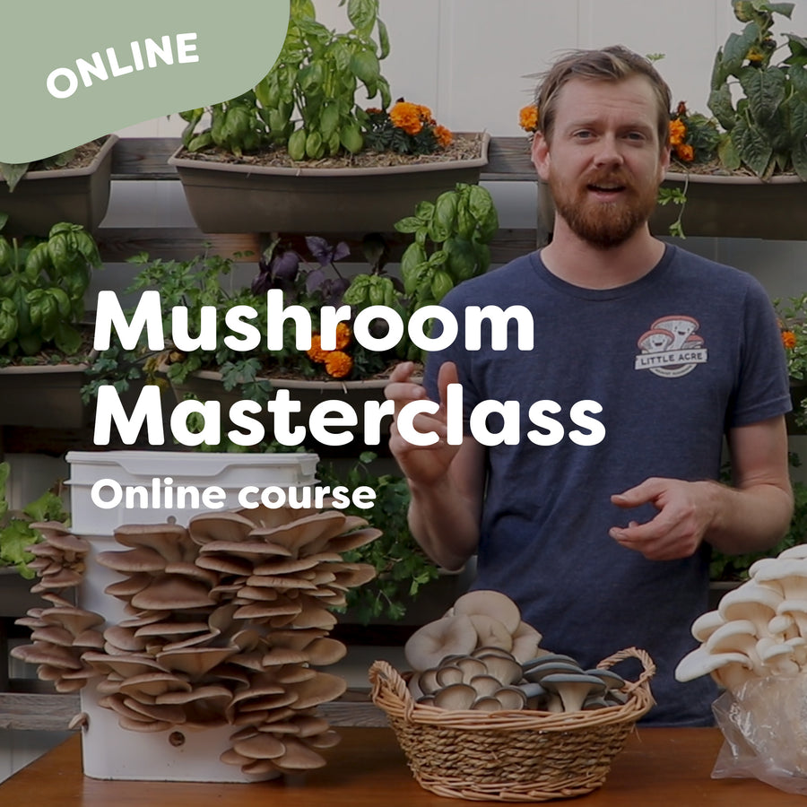 Online Mushroom Workshop