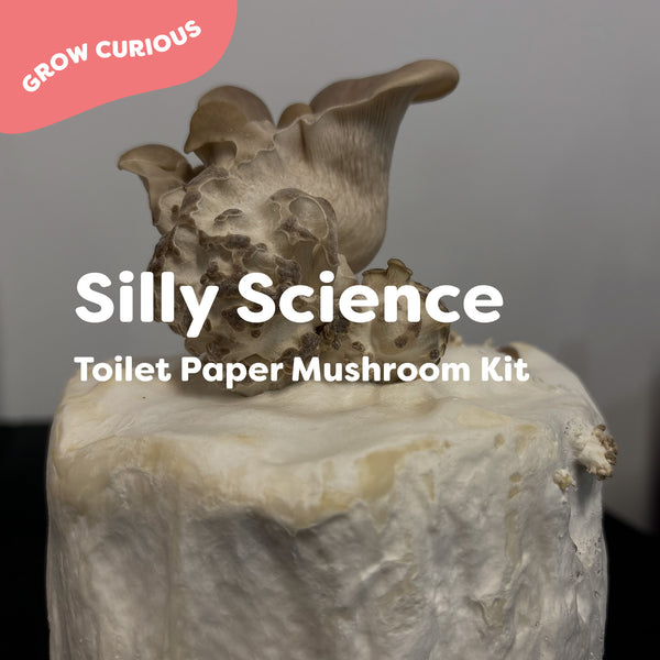 Silly science - Toilet paper mushrooms kit