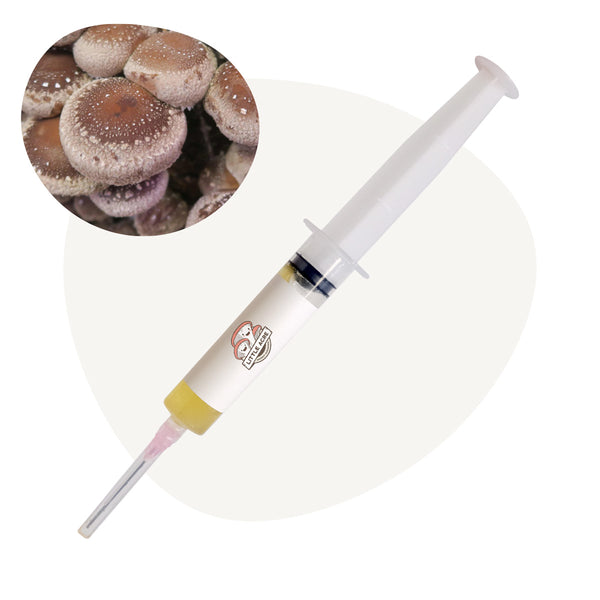 Shiitake Mushroom (3790) Liquid Culture Syringe