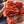 Load image into Gallery viewer, Pink Oyster Mushroom Spawn (Pleurotus djamor)
