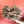 Load image into Gallery viewer, Shiitake Mushroom Spawn (3782)

