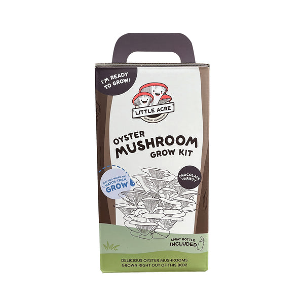 Chocolate Oyster Mushroom Grow Kit