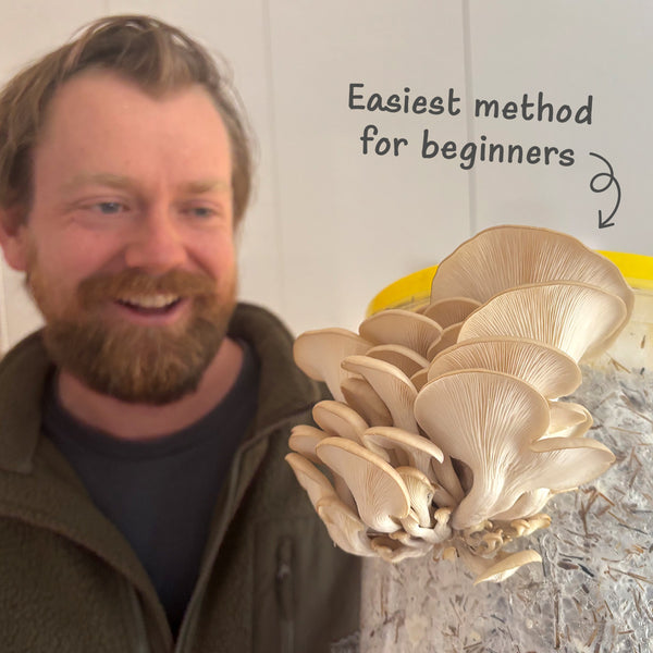 DIY Oyster Mushroom Bucket Kit