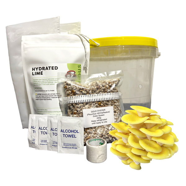 DIY Oyster Mushroom Bucket Kit