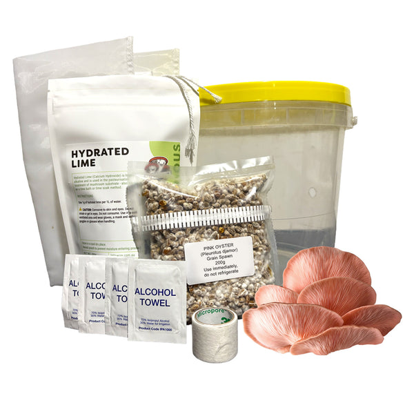 DIY Oyster Mushroom Bucket Kit