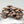 Blue Oyster FUJI Mushroom Grain Spawn