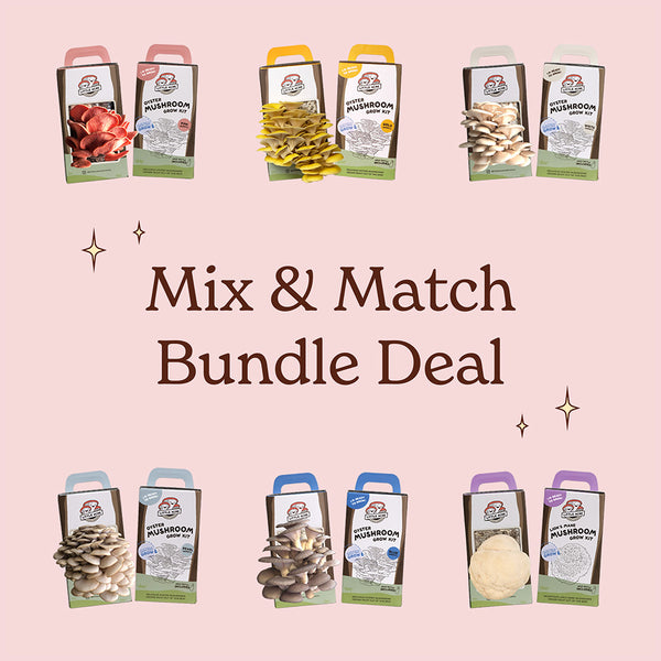 Mushroom Kit - Mix & Match Bundle Deal