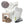 Home Mushroom Growing Supplies Pack