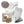 Home Mushroom Growing Supplies Pack