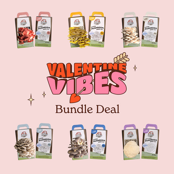 Mushroom Kit Gifting Bundles