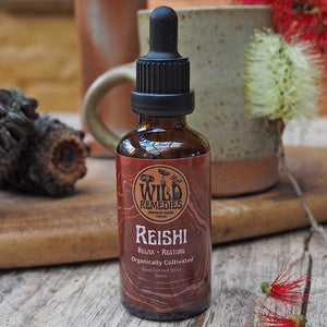 Reishi Mushroom Tincture - Wild Remedies
