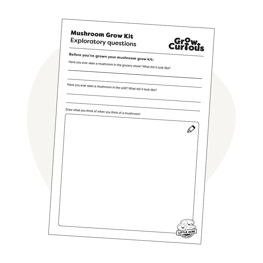 Free Downloadable Activity Sheet for Kids - Exploratory Questions for Mushroom Kits