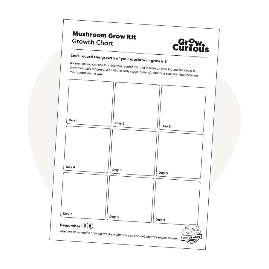 Free Downloadable Activity Sheet for Kids - Charting Growth of a Mushroom Kit