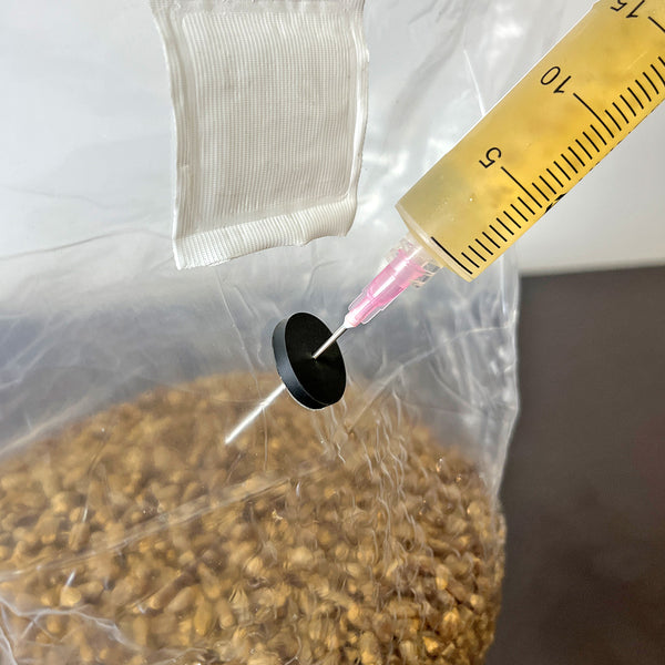 Sterilised Grain Bag with Injection Port