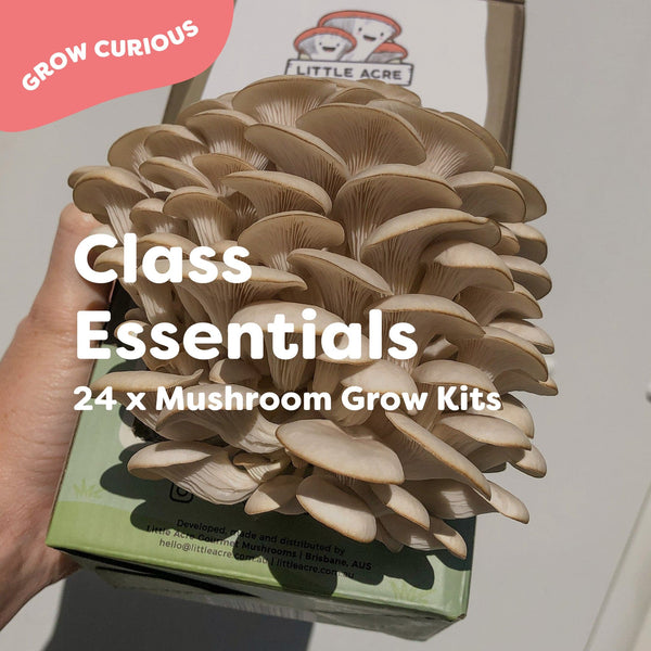 Mushroom kit bundles for educators