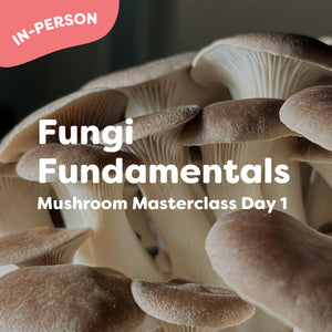 Fungi Fundamentals (in-person masterclass)