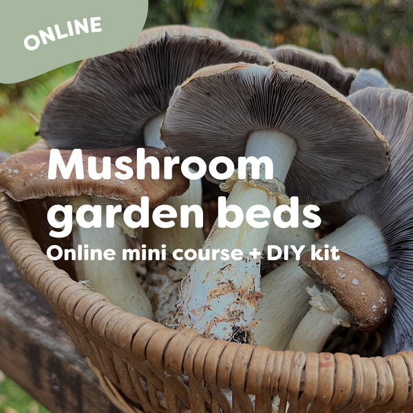 DIY Mushroom Garden Kit