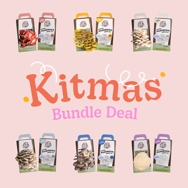 Mushroom Kit - Mix & Match Bundle Deal