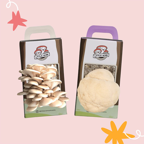 Double Grow Kit Gift Set