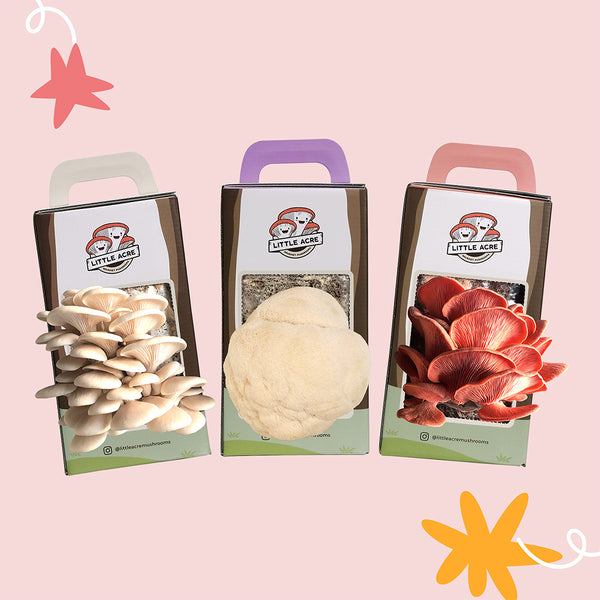 Triple Grow Kit Gift Set