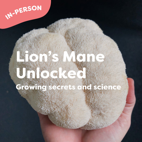 Lion's Mane Unlocked Workshop