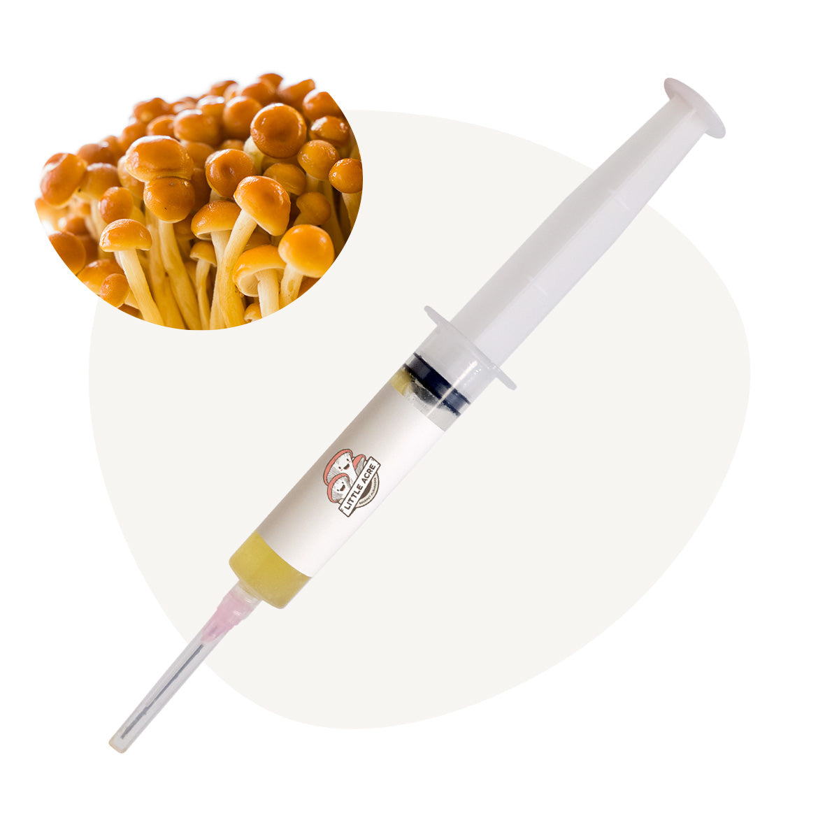 Buy a Golden Enoki Mushroom Liquid Culture Syringe Little Acre