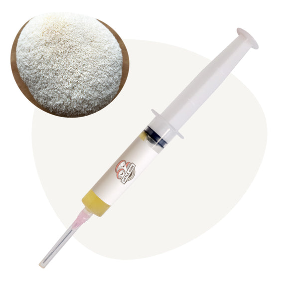 Lion's Mane Mushroom Liquid Culture Syringe - Pom Pom (Hericium erinaceus)