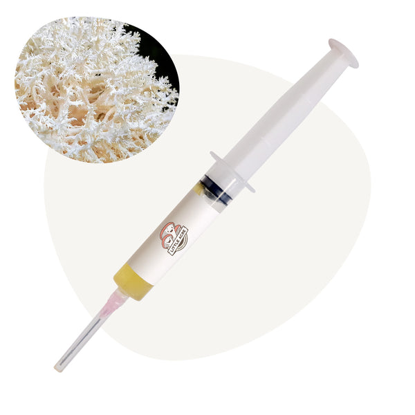 Coral Tooth Mushroom Liquid Culture Syringe - Snowflake (Hericium coralloides)