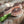 Mushroom Log Making Workshop