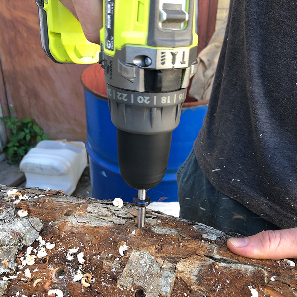 Mushroom Log Making Workshop