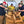 Mushroom Log Making Workshop