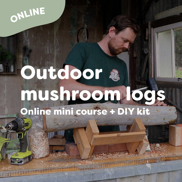 DIY Mushroom Log Kit