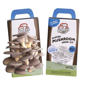 Blue Oyster Mushroom Grow Kit