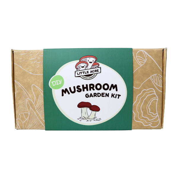 DIY Mushroom Garden Kit