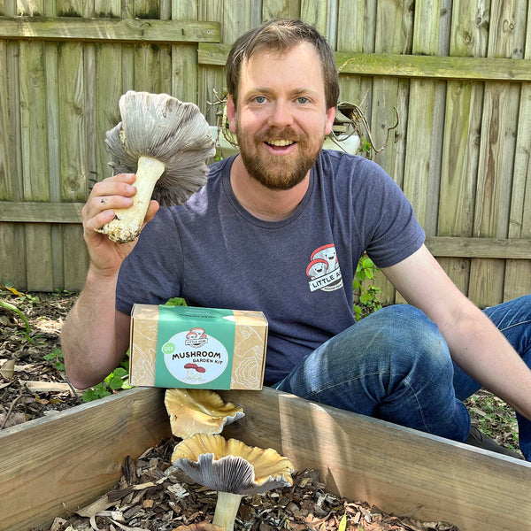 DIY Mushroom Garden Kit