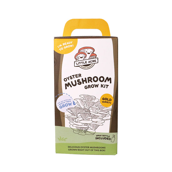 Gold Oyster Mushroom Grow Kit