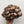 Load image into Gallery viewer, Black Pearl King Oyster Mushroom Spawn (Pleurotus Hybrid)
