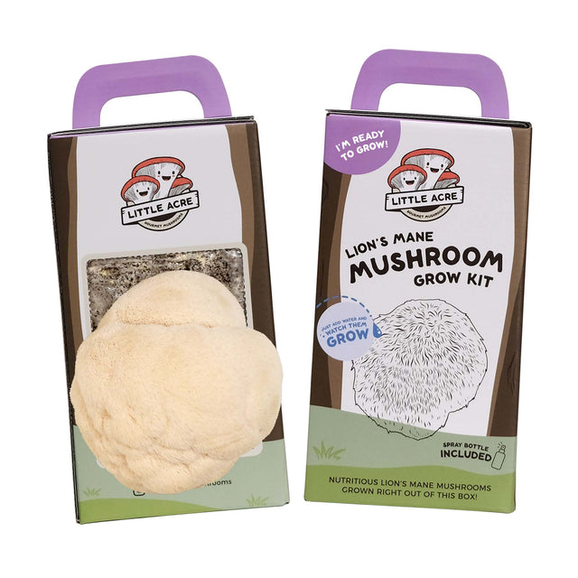 Lion's Mane Mushroom Grow Kit