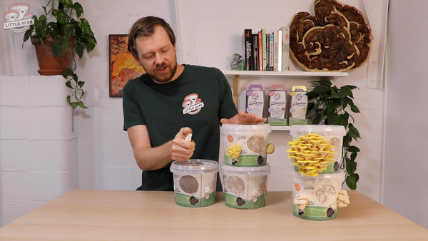 DIY Organic Mushroom Mini Farm + Mini Course