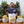 Online Mushroom Workshop