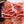 Online Mushroom Workshop